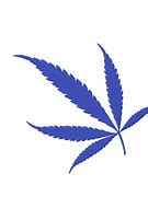 Image result for Marijuana Leaf Sketch