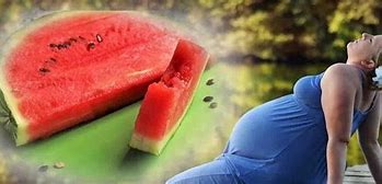 Image result for Sketch of a Cut Watermelon