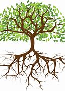 Image result for Clip Art of Roots