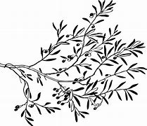 Image result for Thick Tree Branch PNG