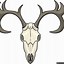 Image result for Deer Skull Sketches