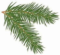 Image result for Christmas Tree Branch Clip Art