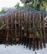 Image result for Bamboo Garden Structures