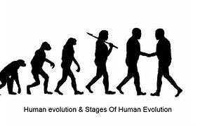 Image result for Human Evolution Lineage