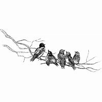 Image result for Bird On a Branch Silohette