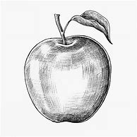 Image result for Apple Blossom Drawing