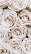 Image result for Beige Roses Desktop Background