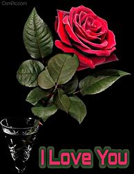 Image result for I Love You Roses