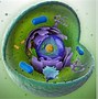 Image result for Human Cell Organelles