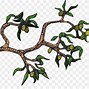 Image result for Olive Branch Transparent Background