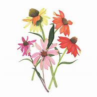 Image result for Cone Flowers Watercolors