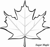 Image result for Canadian Maple Leaf Stencil