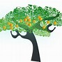 Image result for Orange Tree Clip Art