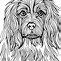 Image result for Cocker Spaniel Dog Coloring Pages