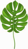 Image result for Leaf Stencil Art