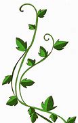 Image result for Clip Art Vines and Leaves