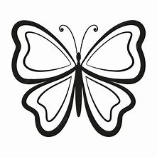 Image result for Butterfly Plain Background