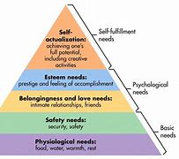 Image result for Maslow's Hierarchy of Needs Mug