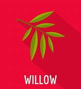 Image result for Willow Tree Icon