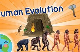 Image result for Human Evolution Design