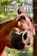 Image result for Funny Jokes to Tell People