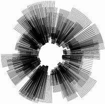 Image result for Generative Art Examples