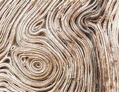 Image result for Chestnut Wood Grain