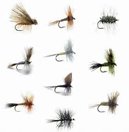 Image result for Fly Fishing Stuff