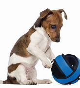 Image result for Chew Proof Dog Toys