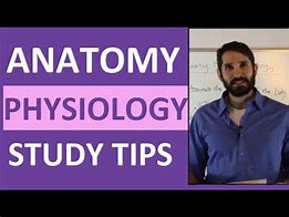 Image result for Anatomy and Physiology Study Games Printable