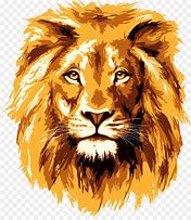 Image result for Annoyed Lion Drawing Face