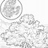 Image result for Iowa State Bird Coloring Page