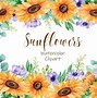 Image result for Watercolor Sunflower Clip Art