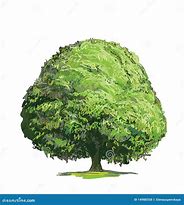 Image result for Green Tree Drawing