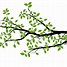 Image result for SIB Tree Branch Icon