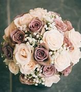 Image result for Dusty Rose Color Flowers