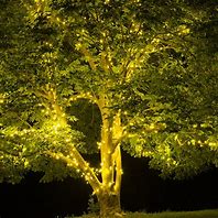 Image result for Halloween Tree with Lights