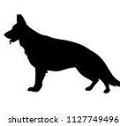 Image result for Large Black German Shepherd