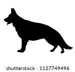 Image result for German Shepherd Types