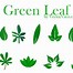 Image result for Leaves Vector Free