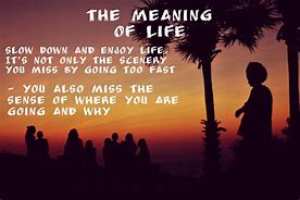 Image result for Interpretation of the Meaning of Life Poster