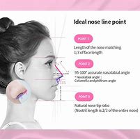 Image result for Ideal Nose Shape