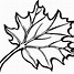 Image result for Maple Leaf Coloring