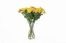 Image result for Yellow Spray Roses