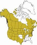 Image result for Aspen Tree Range Map