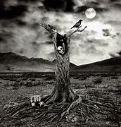 Image result for Spooky Tree Branch