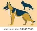 Image result for German Shepherd Types