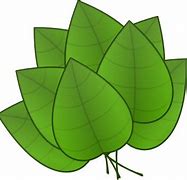 Image result for Leaves Print