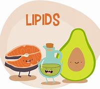 Image result for Lipids Food Drawing