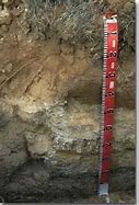 Image result for Soil